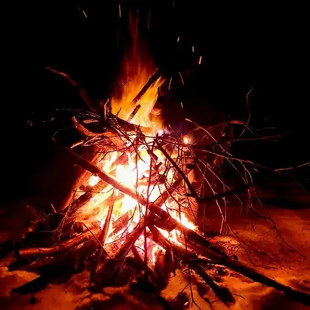 Majatalo Oravanpesae ゲストハウス