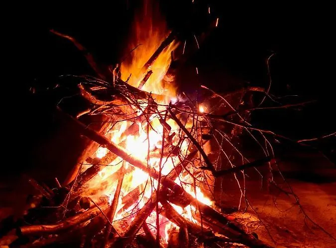 Majatalo Oravanpesae Gæstehus