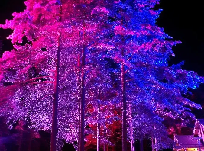 Gæstehus Majatalo Oravanpesae